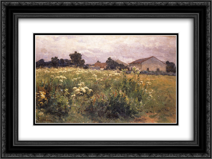 Grassy Field 24x18 Black Ornate Wood Framed Art Print Poster with Double Matting by Jakobides, Georgios