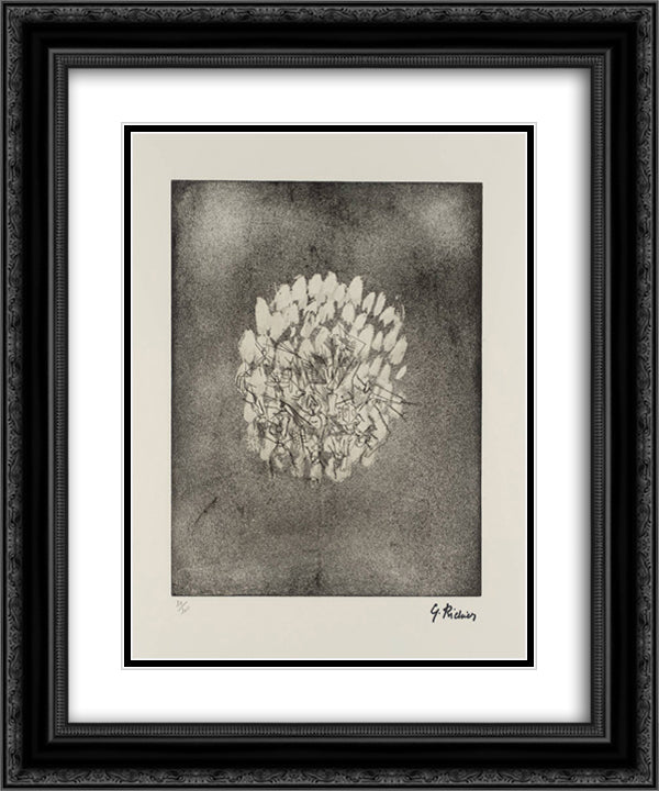 Insects 20x24 Black Ornate Wood Framed Art Print Poster with Double Matting by Richier, Germaine