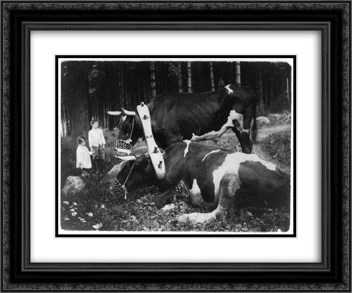Yoked and Muzzled Marriage 24x20 Black Ornate Wood Framed Art Print Poster with Double Matting by Kasebier, Gertrude