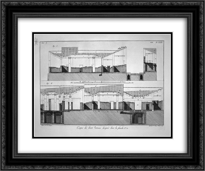 Plants related to the houses opposite to that of the Surgeon 24x20 Black Ornate Wood Framed Art Print Poster with Double Matting by Piranesi, Giovanni Battista