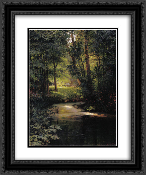 Creek in the forest 20x24 Black Ornate Wood Framed Art Print Poster with Double Matting by Myasoyedov, Grigoriy