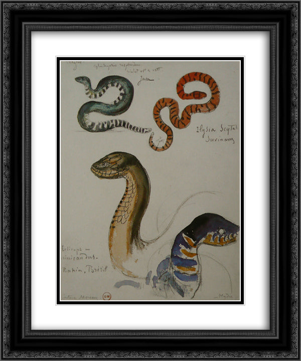 Four studies of snakes 20x24 Black Ornate Wood Framed Art Print Poster with Double Matting by Moreau, Gustave