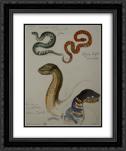 Four studies of snakes 20x24 Black Ornate Wood Framed Art Print Poster with Double Matting by Moreau, Gustave