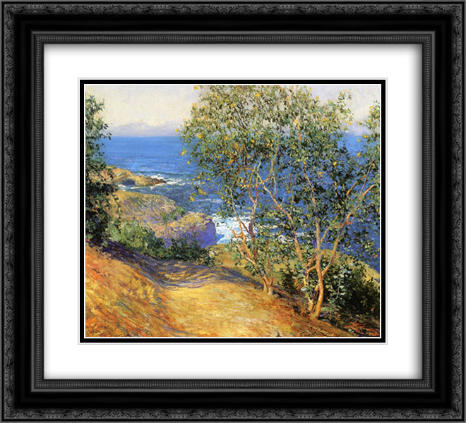 Indian Tobacco Trees, La Jolla 22x20 Black Ornate Wood Framed Art Print Poster with Double Matting by Rose, Guy