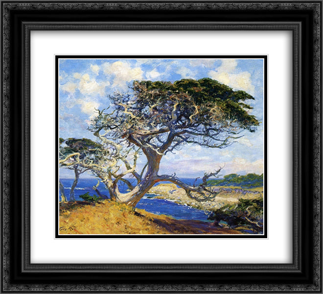 Monterey Cypress 22x20 Black Ornate Wood Framed Art Print Poster with Double Matting by Rose, Guy