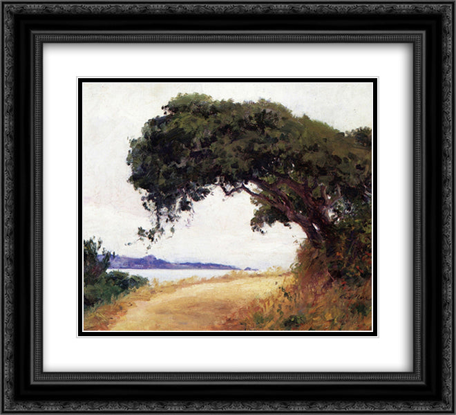 Point Lobos, Oak Tree 22x20 Black Ornate Wood Framed Art Print Poster with Double Matting by Rose, Guy