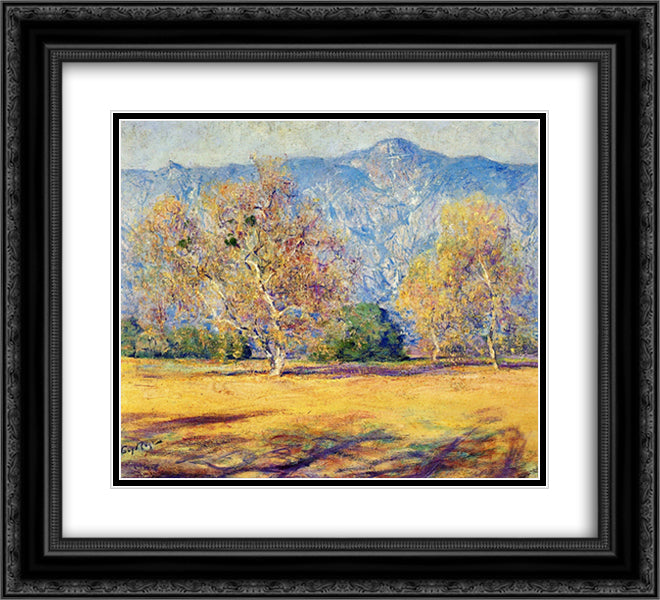 The Sycamores, Pasadena 22x20 Black Ornate Wood Framed Art Print Poster with Double Matting by Rose, Guy