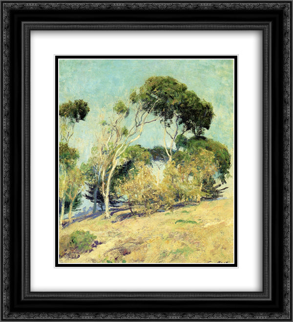 Windswept Trees, Laguna 20x22 Black Ornate Wood Framed Art Print Poster with Double Matting by Rose, Guy