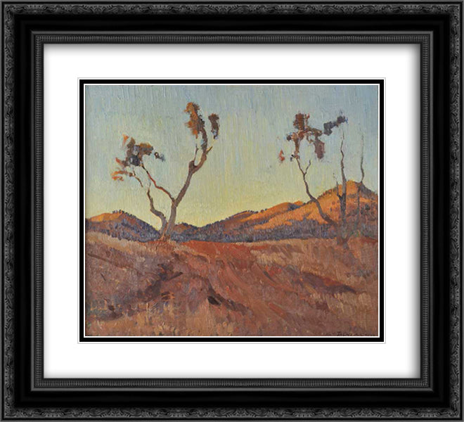 Evening light, Flinders Ranges, SA 22x20 Black Ornate Wood Framed Art Print Poster with Double Matting by Trenerry, Horace