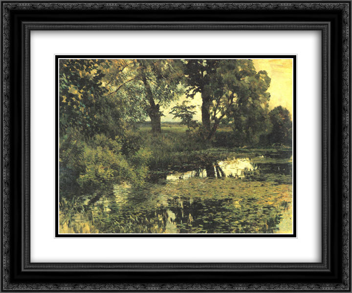 Overgrown pond 24x20 Black Ornate Wood Framed Art Print Poster with Double Matting by Levitan, Isaac