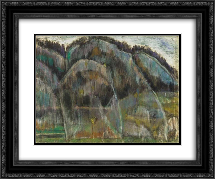 Humid landscape in Transylvania (Bekas) 24x20 Black Ornate Wood Framed Art Print Poster with Double Matting by Nagy, Istvan