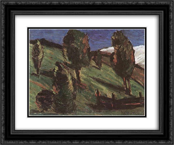 Transylvanian landscape 24x20 Black Ornate Wood Framed Art Print Poster with Double Matting by Nagy, Istvan