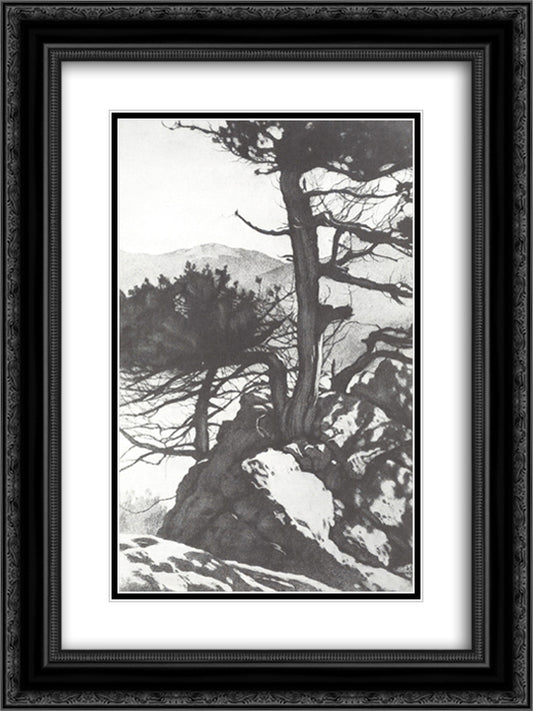 Crimea. Old juniper 18x24 Black Ornate Wood Framed Art Print Poster with Double Matting by Bilibin, Ivan