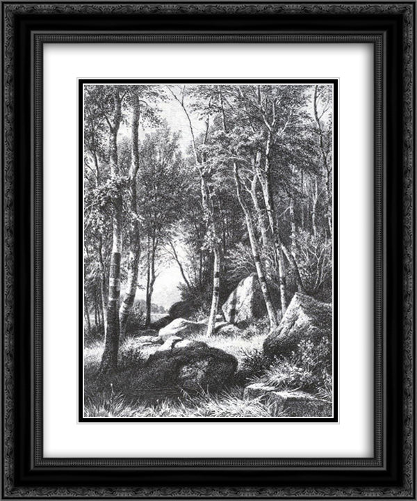 At the edge of a birch grove. Valaam 20x24 Black Ornate Wood Framed Art Print Poster with Double Matting by Shishkin, Ivan