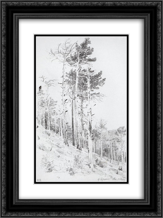 At the top of the Ai-Petri 18x24 Black Ornate Wood Framed Art Print Poster with Double Matting by Shishkin, Ivan