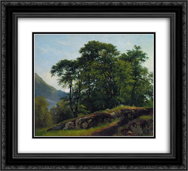 Beech Forest in Switzerland 22x20 Black Ornate Wood Framed Art Print Poster with Double Matting by Shishkin, Ivan