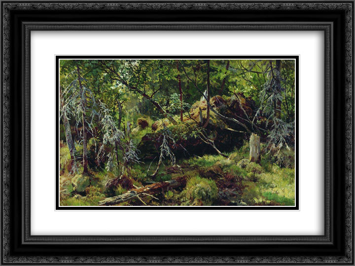 Branches 24x18 Black Ornate Wood Framed Art Print Poster with Double Matting by Shishkin, Ivan