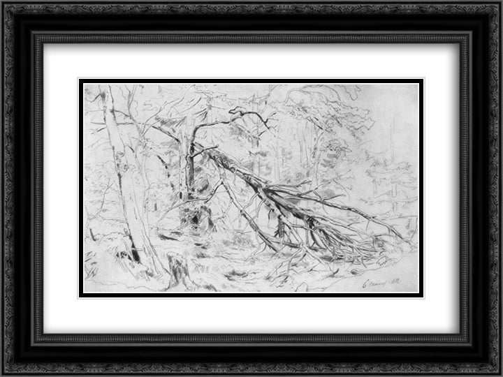 Broken Birch 24x18 Black Ornate Wood Framed Art Print Poster with Double Matting by Shishkin, Ivan