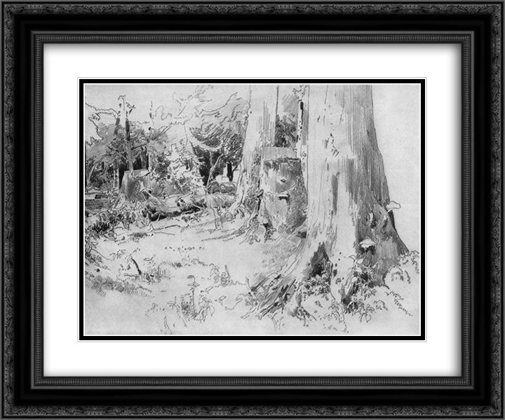 Carved wood 24x20 Black Ornate Wood Framed Art Print Poster with Double Matting by Shishkin, Ivan