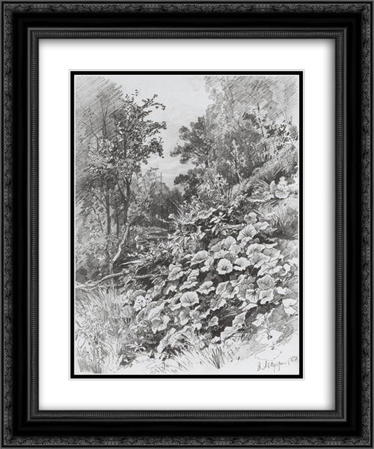 Coltsfoot 20x24 Black Ornate Wood Framed Art Print Poster with Double Matting by Shishkin, Ivan