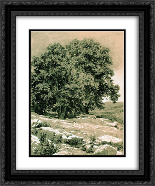 Crimean Nut-Tree 20x24 Black Ornate Wood Framed Art Print Poster with Double Matting by Shishkin, Ivan