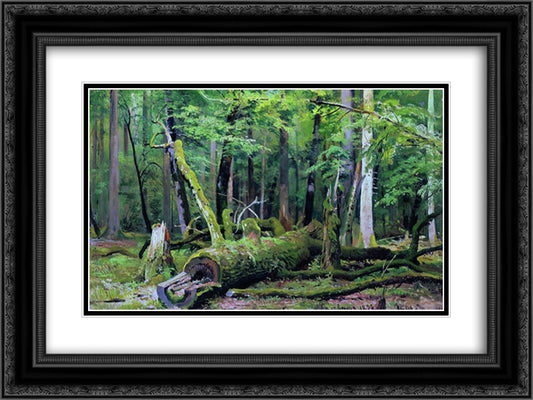 Cut down oak in the Bialowiezka Forest 24x18 Black Ornate Wood Framed Art Print Poster with Double Matting by Shishkin, Ivan