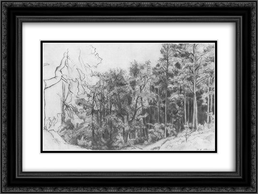 Deciduous Forest 24x18 Black Ornate Wood Framed Art Print Poster with Double Matting by Shishkin, Ivan