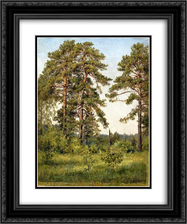 Edge of the pine forest 20x24 Black Ornate Wood Framed Art Print Poster with Double Matting by Shishkin, Ivan