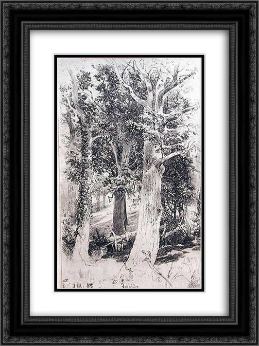 Etude 18x24 Black Ornate Wood Framed Art Print Poster with Double Matting by Shishkin, Ivan