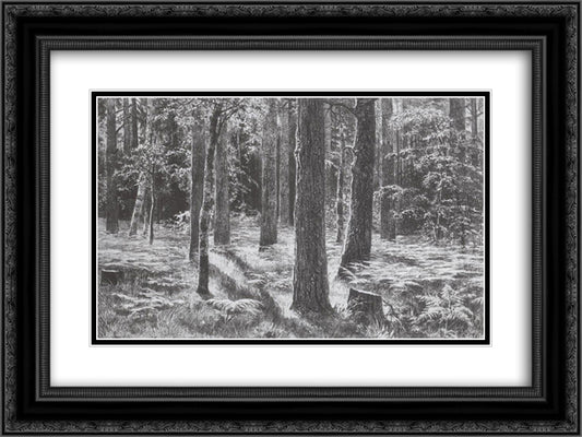 Ferns 24x18 Black Ornate Wood Framed Art Print Poster with Double Matting by Shishkin, Ivan