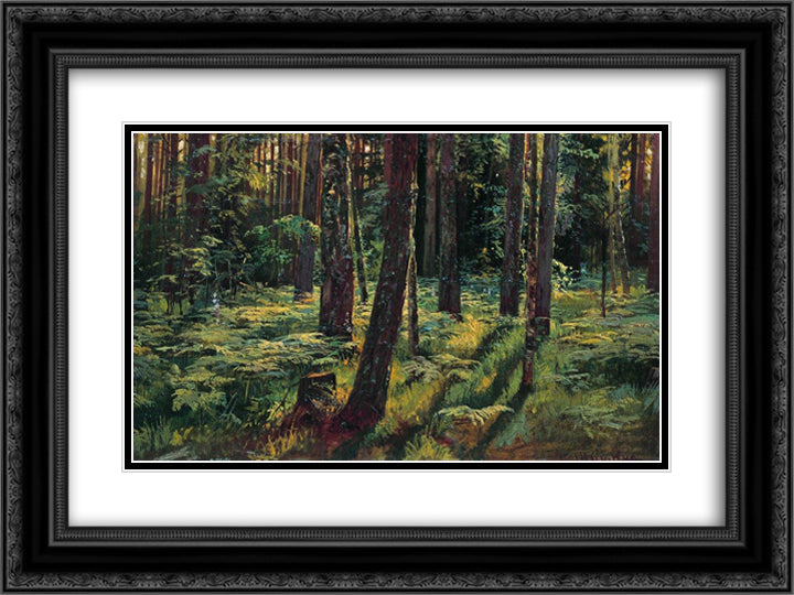 Ferns in the forest. Siverskaya 24x18 Black Ornate Wood Framed Art Print Poster with Double Matting by Shishkin, Ivan