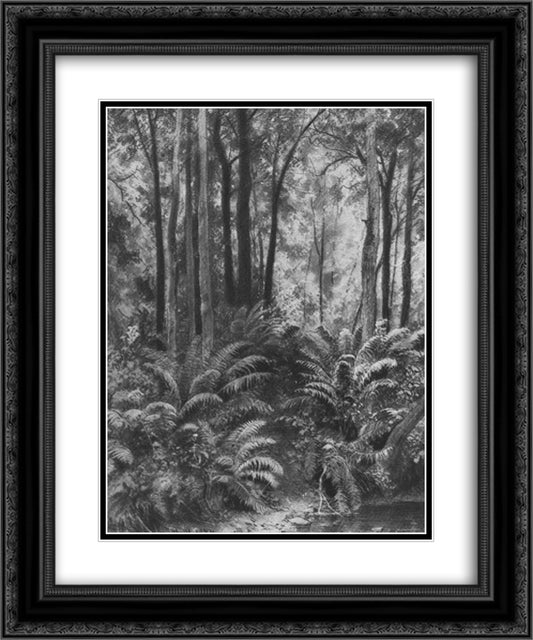 Ferns in the forest 20x24 Black Ornate Wood Framed Art Print Poster with Double Matting by Shishkin, Ivan