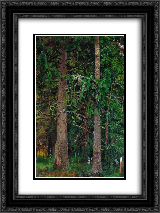 Fir forest 18x24 Black Ornate Wood Framed Art Print Poster with Double Matting by Shishkin, Ivan