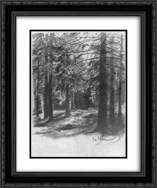 Fir in sunlight 20x24 Black Ornate Wood Framed Art Print Poster with Double Matting by Shishkin, Ivan