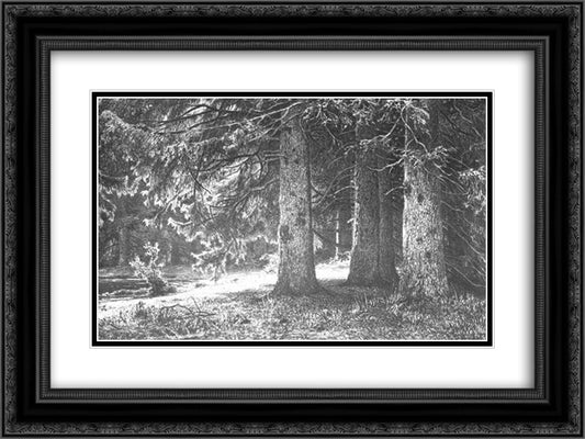 Fir in the Shuvalov Park 24x18 Black Ornate Wood Framed Art Print Poster with Double Matting by Shishkin, Ivan