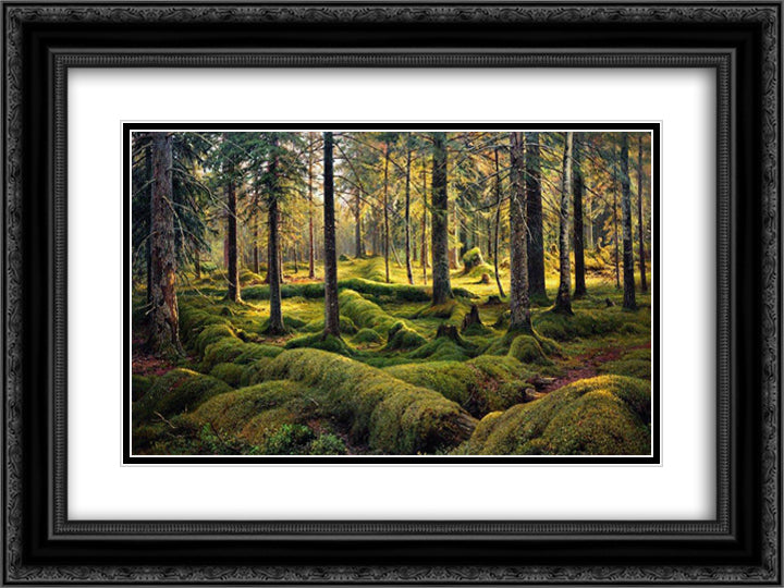 Forest cemetery 24x18 Black Ornate Wood Framed Art Print Poster with Double Matting by Shishkin, Ivan