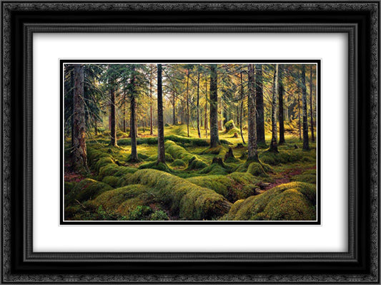 Forest cemetery 24x18 Black Ornate Wood Framed Art Print Poster with Double Matting by Shishkin, Ivan