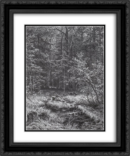 Forest swamp 20x24 Black Ornate Wood Framed Art Print Poster with Double Matting by Shishkin, Ivan