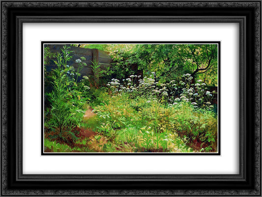 Goutweed-grass. Pargolovo 24x18 Black Ornate Wood Framed Art Print Poster with Double Matting by Shishkin, Ivan