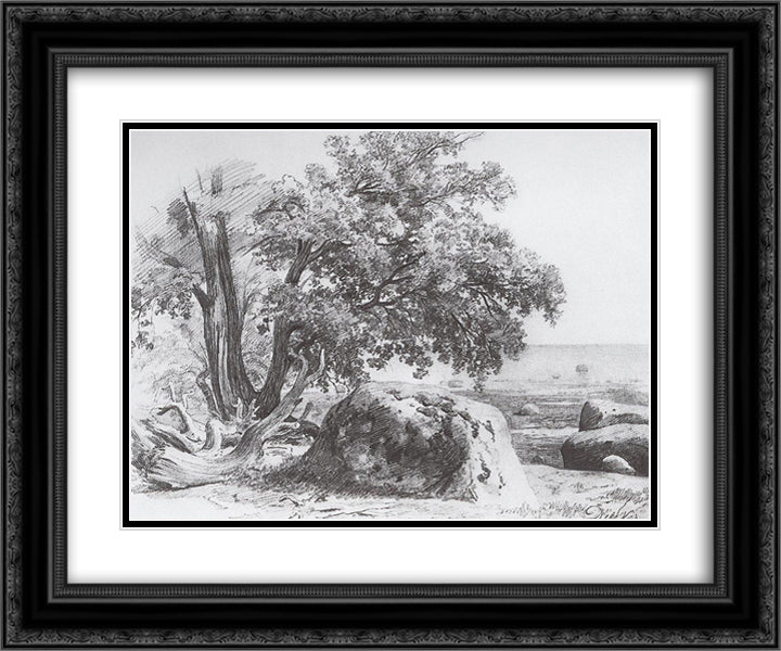 Oak on the shore of the Gulf of Finland 24x20 Black Ornate Wood Framed Art Print Poster with Double Matting by Shishkin, Ivan