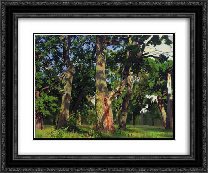 Oaks. Evening 24x20 Black Ornate Wood Framed Art Print Poster with Double Matting by Shishkin, Ivan