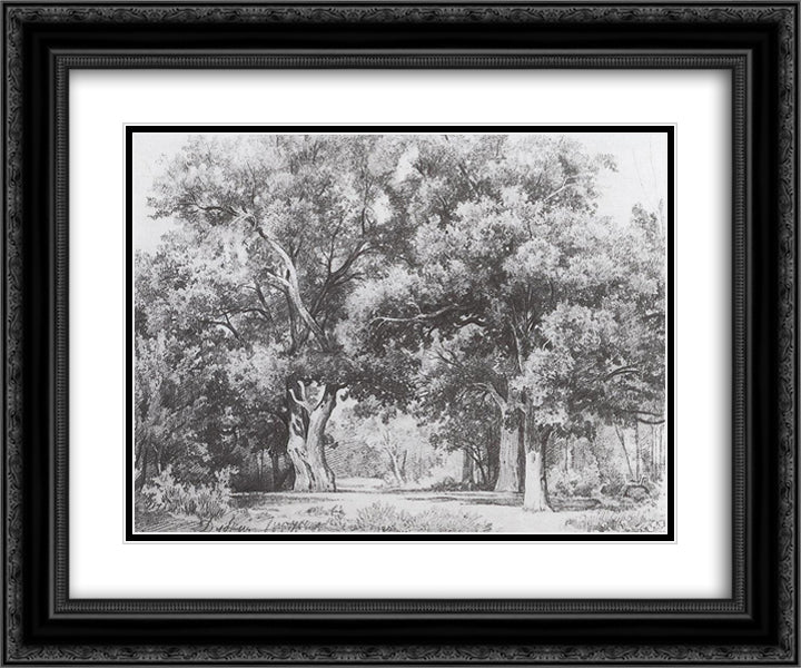 Oaks 24x20 Black Ornate Wood Framed Art Print Poster with Double Matting by Shishkin, Ivan