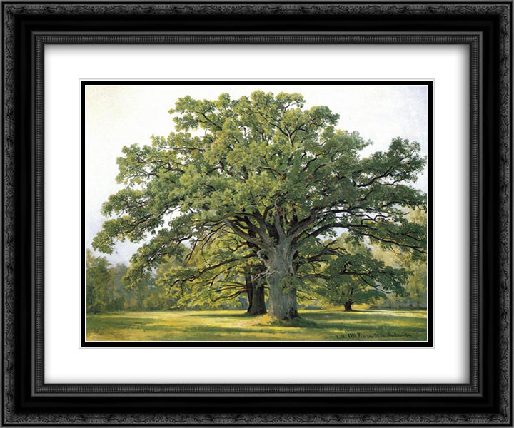 Oaks in Old Peterhof 24x20 Black Ornate Wood Framed Art Print Poster with Double Matting by Shishkin, Ivan