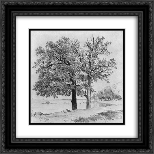 Oaks in Sestroretsk 20x20 Black Ornate Wood Framed Art Print Poster with Double Matting by Shishkin, Ivan