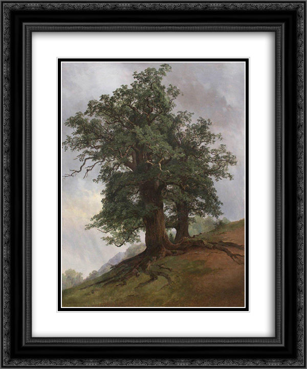 Old oak 20x24 Black Ornate Wood Framed Art Print Poster with Double Matting by Shishkin, Ivan