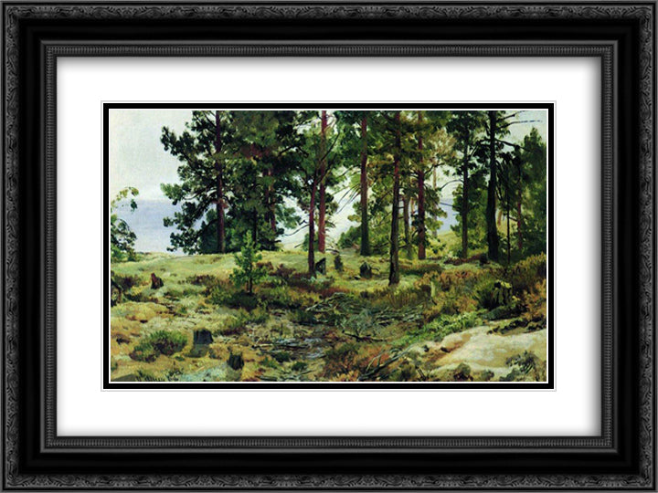 On sandy soil. Mary-Howie on Finnish Railways 24x18 Black Ornate Wood Framed Art Print Poster with Double Matting by Shishkin, Ivan