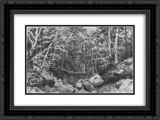 On the mountain Castel near Alushta 24x18 Black Ornate Wood Framed Art Print Poster with Double Matting by Shishkin, Ivan