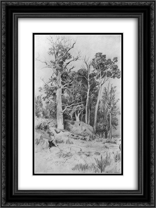 On the seashore. Sestroreck 18x24 Black Ornate Wood Framed Art Print Poster with Double Matting by Shishkin, Ivan