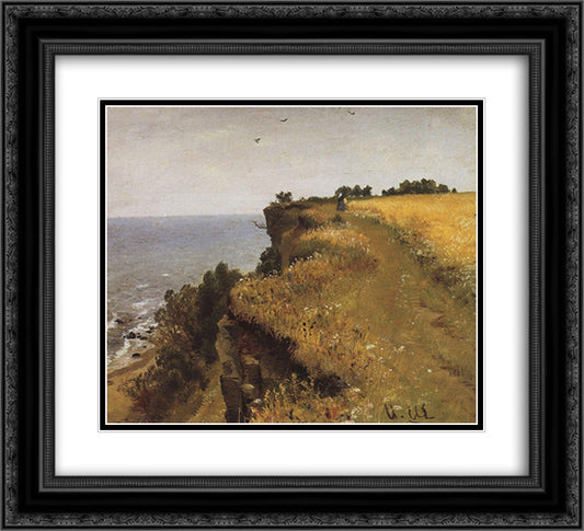 On the Shore of the Gulf of Finland. Udrias Near Narva 22x20 Black Ornate Wood Framed Art Print Poster with Double Matting by Shishkin, Ivan