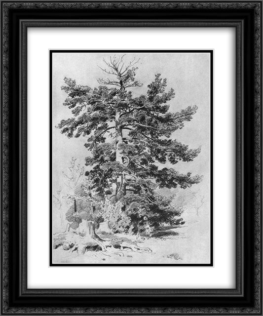 Pine 20x24 Black Ornate Wood Framed Art Print Poster with Double Matting by Shishkin, Ivan